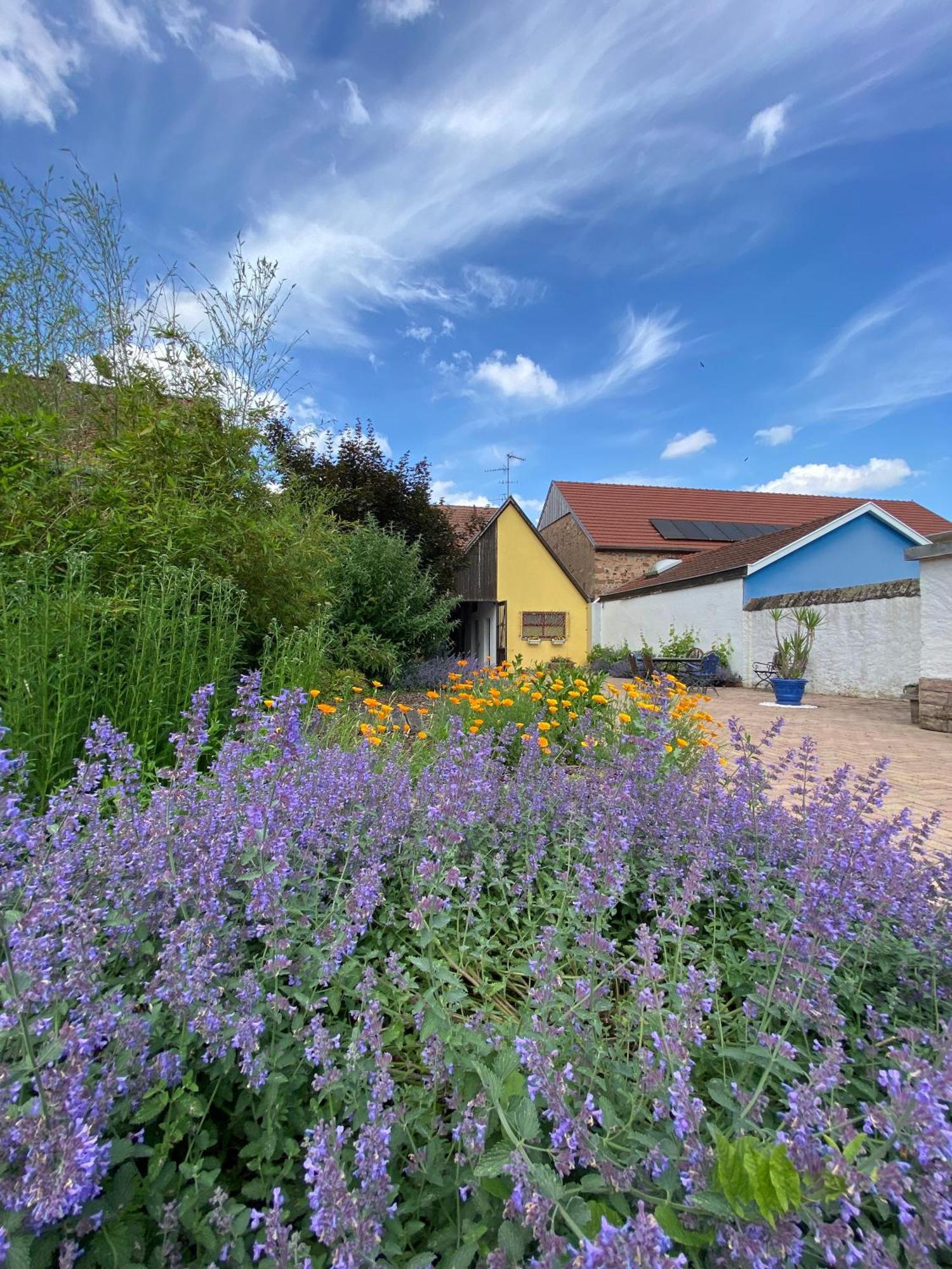 Relais Du Dompeter Bed & Breakfast Молсайм Екстериор снимка